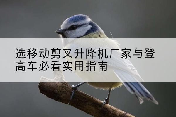 红山电动升降机厂家-选移动剪叉升降机厂家与登高车必看实用指南