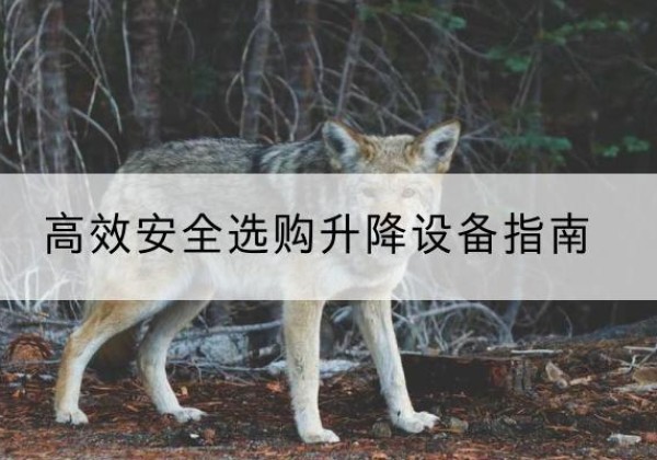 红山升降货梯厂家推荐-*安全选购升降设备指南