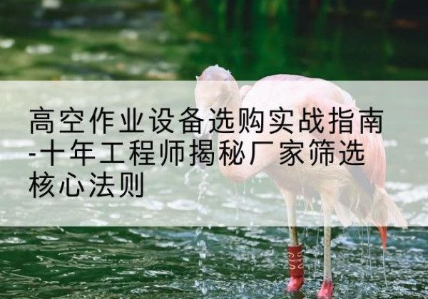 红山剪叉式升降机厂家-高空作业设备选购实战指南-十年工程师揭秘厂家筛选核心法则